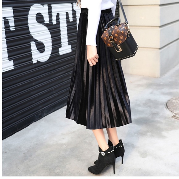 Velvet Pleated Skirt - Picture 5 of 11